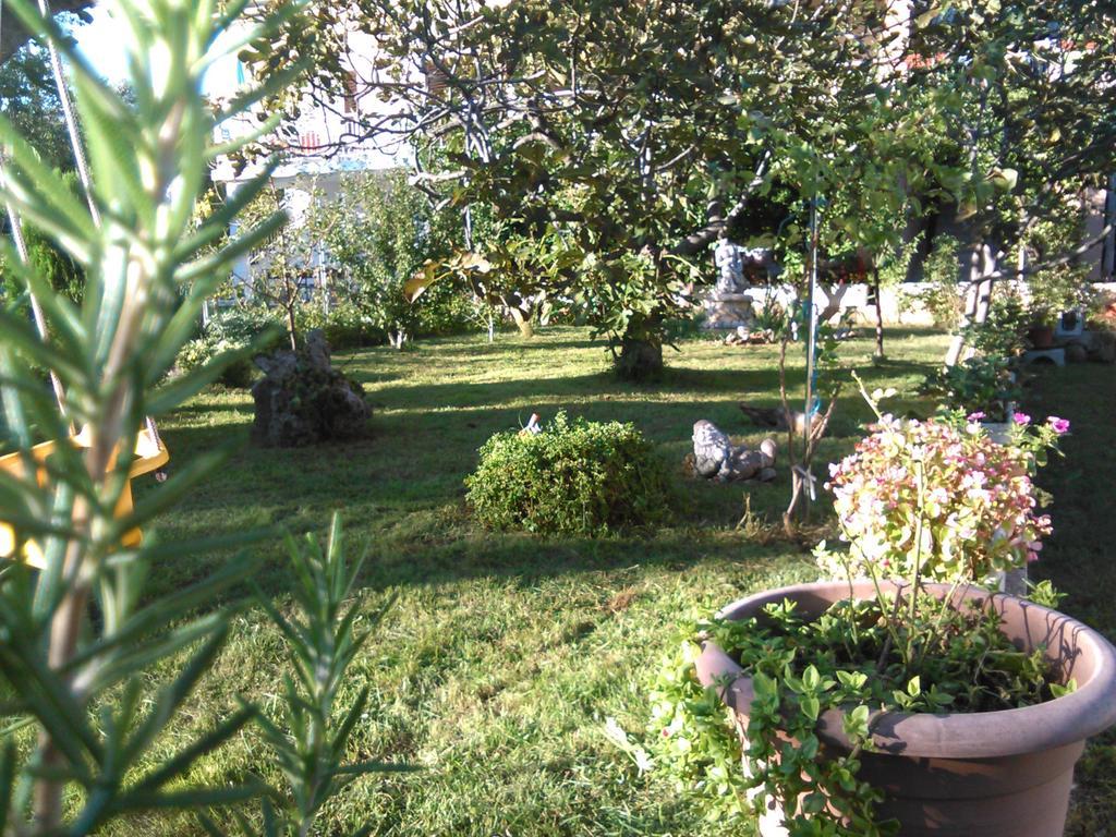 Apartments Lana Starigrad Paklenica Zewnętrze zdjęcie