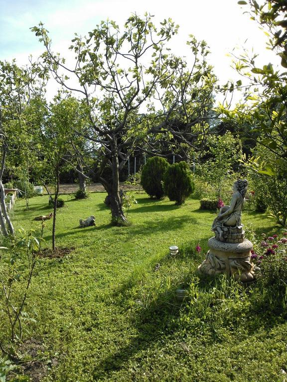 Apartments Lana Starigrad Paklenica Zewnętrze zdjęcie
