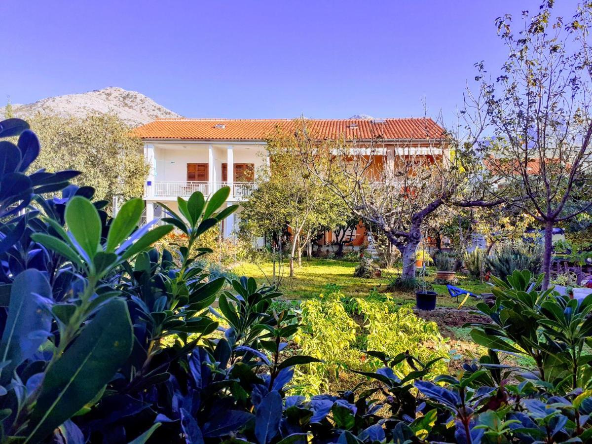 Apartments Lana Starigrad Paklenica Zewnętrze zdjęcie
